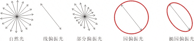 什么是偏振光？偏振光是如何完成檢測(cè)的？