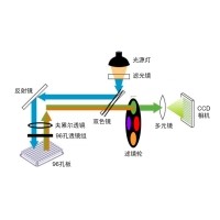 什么是熒光定量PCR、數(shù)字PCR？