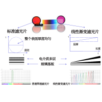 線性漸變?yōu)V光片是什么？有何特點？