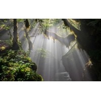 光的干涉、衍射、折射、反射、散射